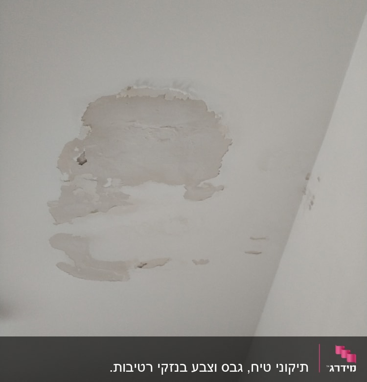 תקרה עם קילופי צבע ולחות